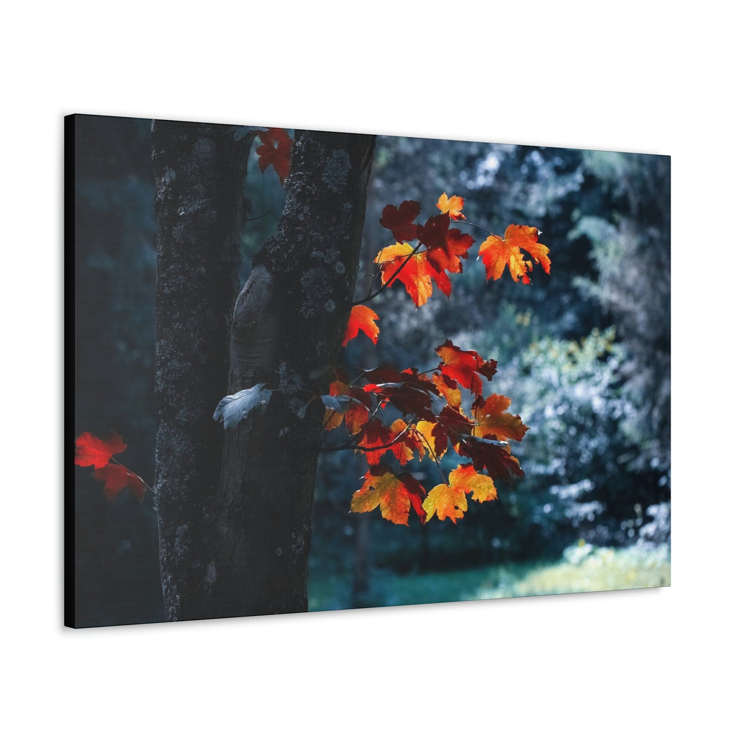 The last Leaves, Fall, Foliage, Nature, Forest - Canvas Gallery Wraps