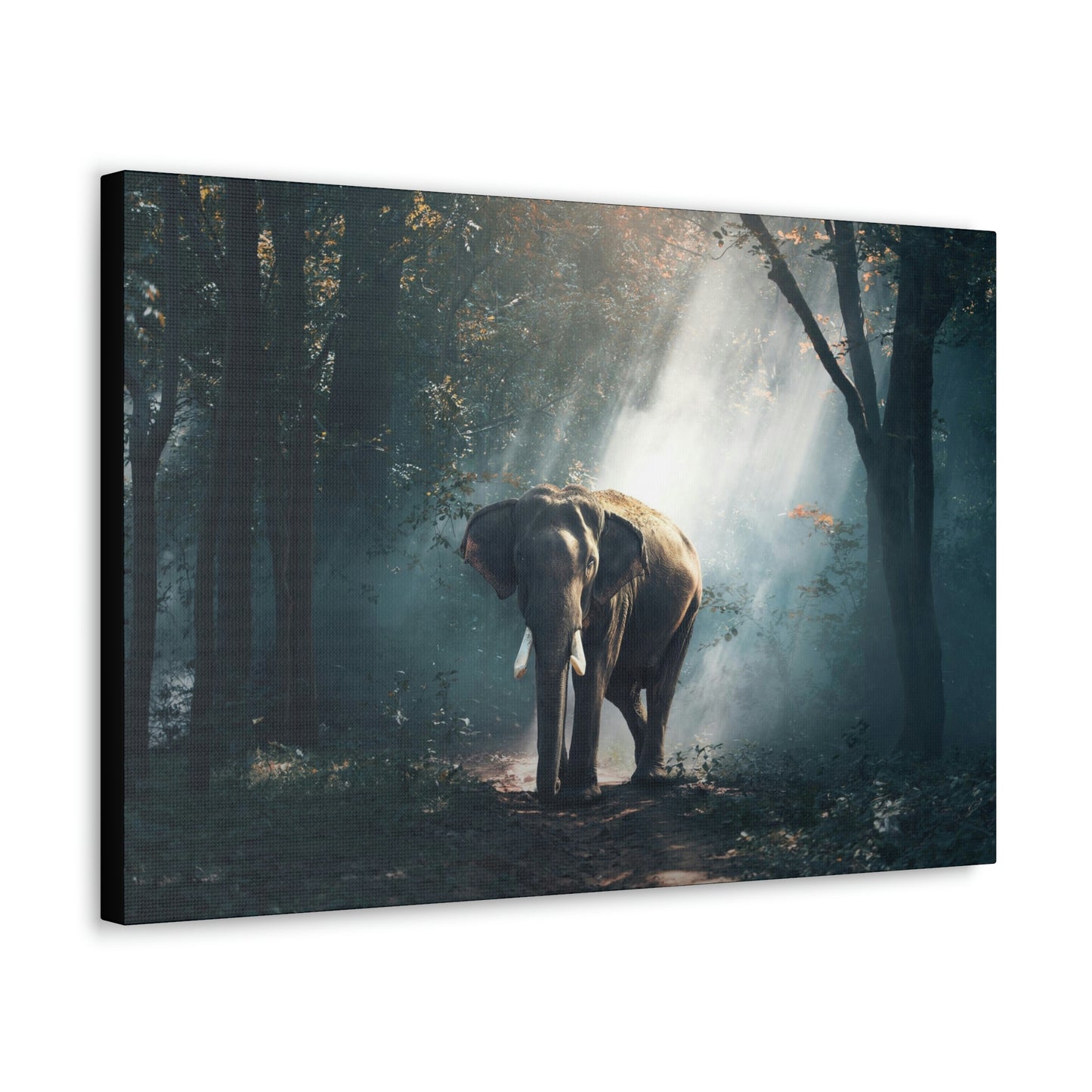 Elephant - Nature, Jungle Canvas Gallery Wraps