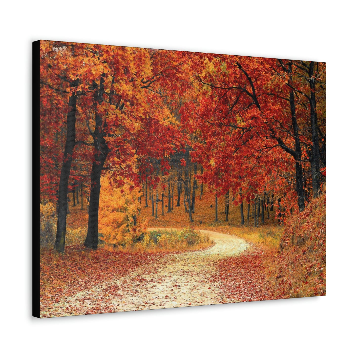 Fall Trail - Foliage forest - Canvas Gallery Wraps