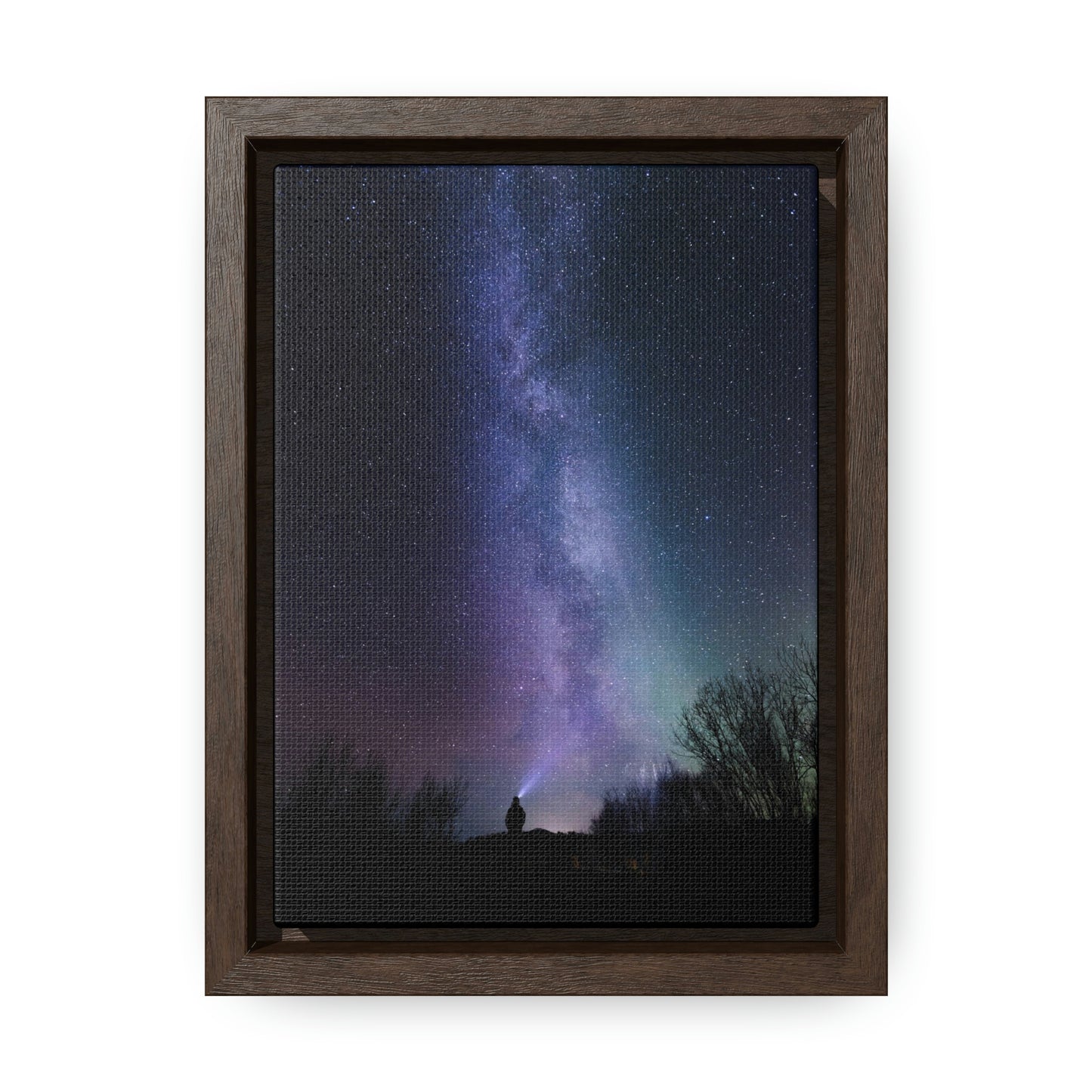 Star Gazer - Gallery Canvas Wraps, Vertical Frame
