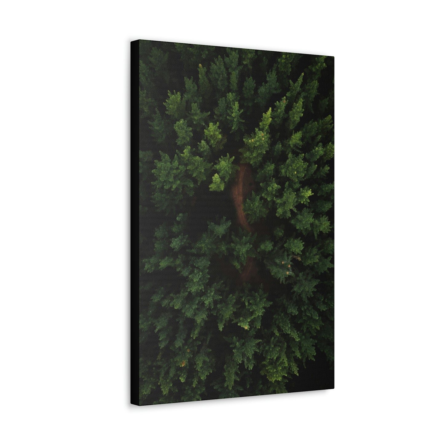 Forest eagle-view - Canvas Gallery Wraps