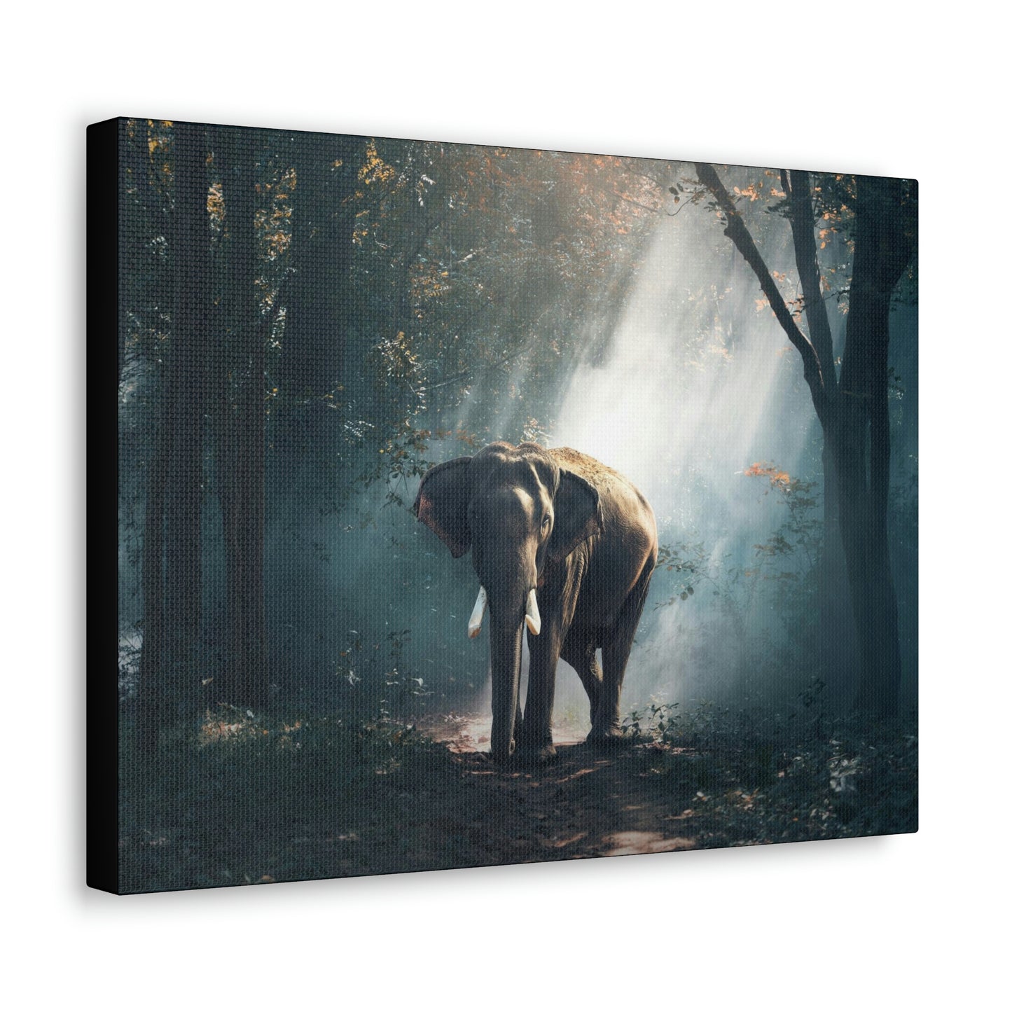 Elephant - Nature, Jungle Canvas Gallery Wraps