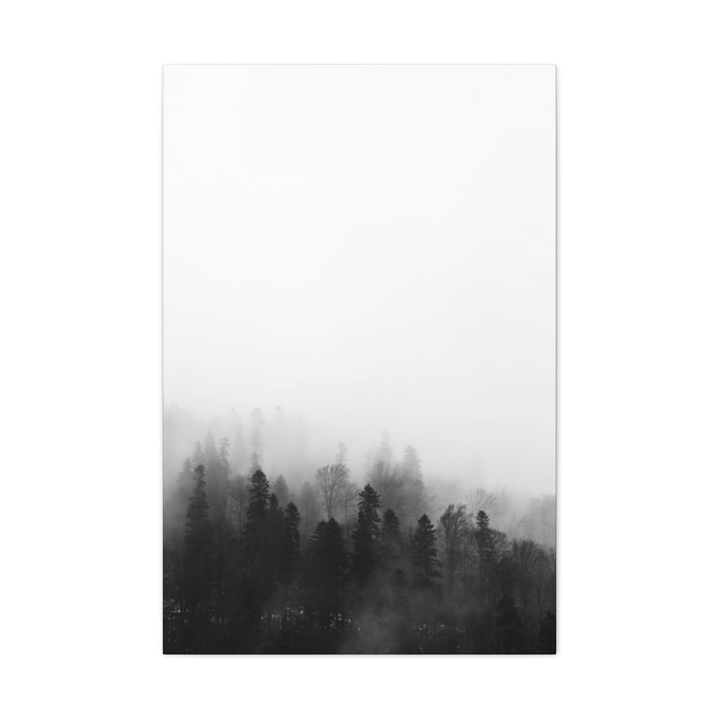 B&W Forest - Canvas Gallery Wraps