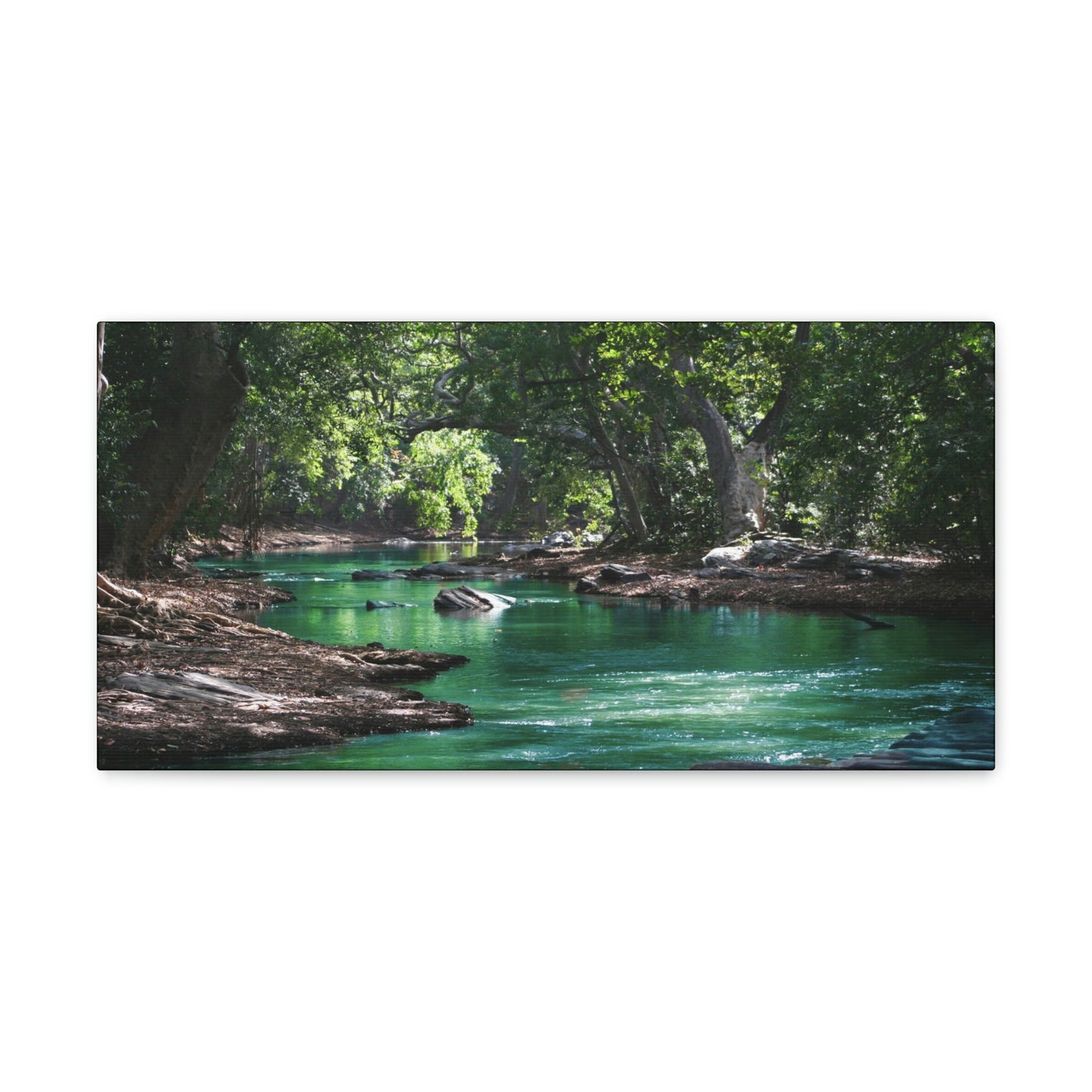 Scenic River - Forest - Canvas Gallery Wraps