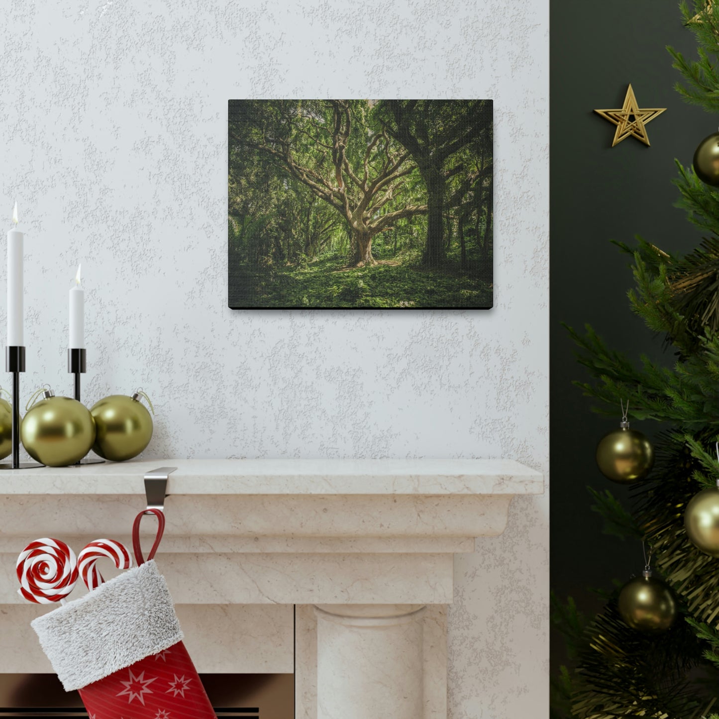 Forest - Tree Canvas Gallery Wraps