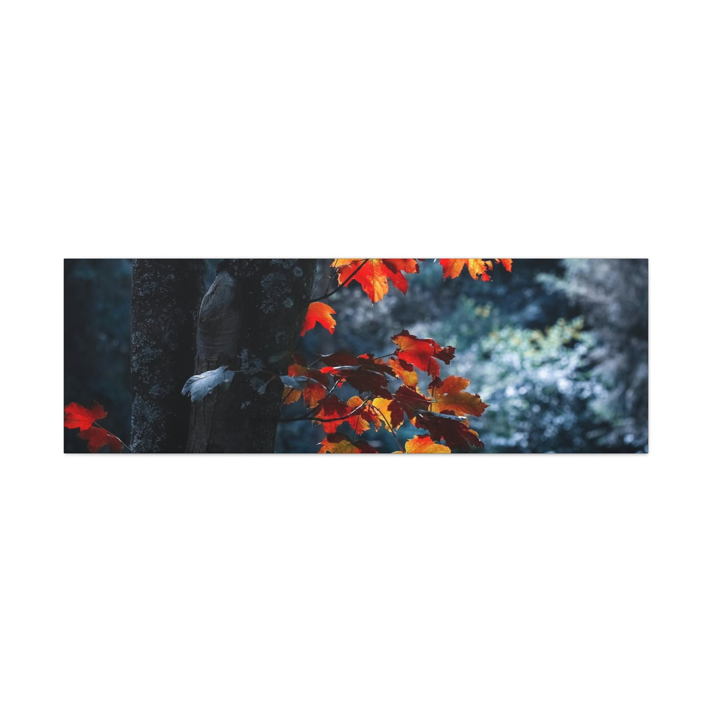 The last Leaves, Fall, Foliage, Nature, Forest - Canvas Gallery Wraps