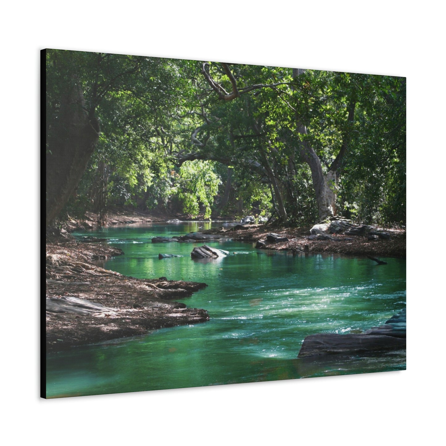 Scenic River - Forest - Canvas Gallery Wraps