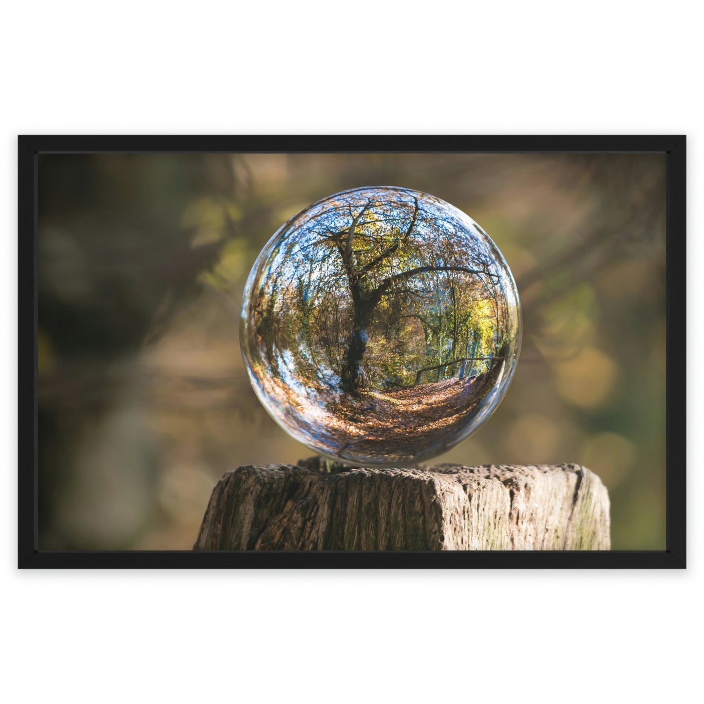 Forest Globe - Framed Poster, Horizontal