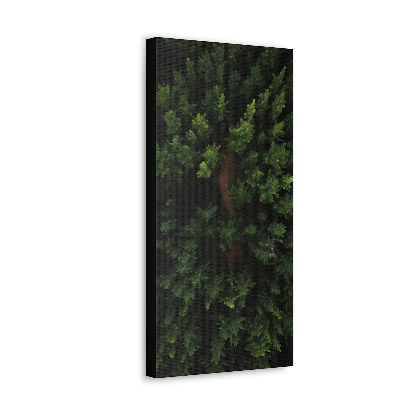 Forest eagle-view - Canvas Gallery Wraps