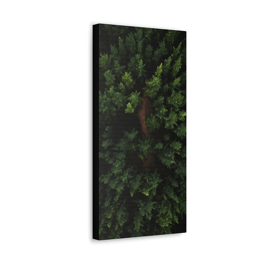 Forest eagle-view - Canvas Gallery Wraps