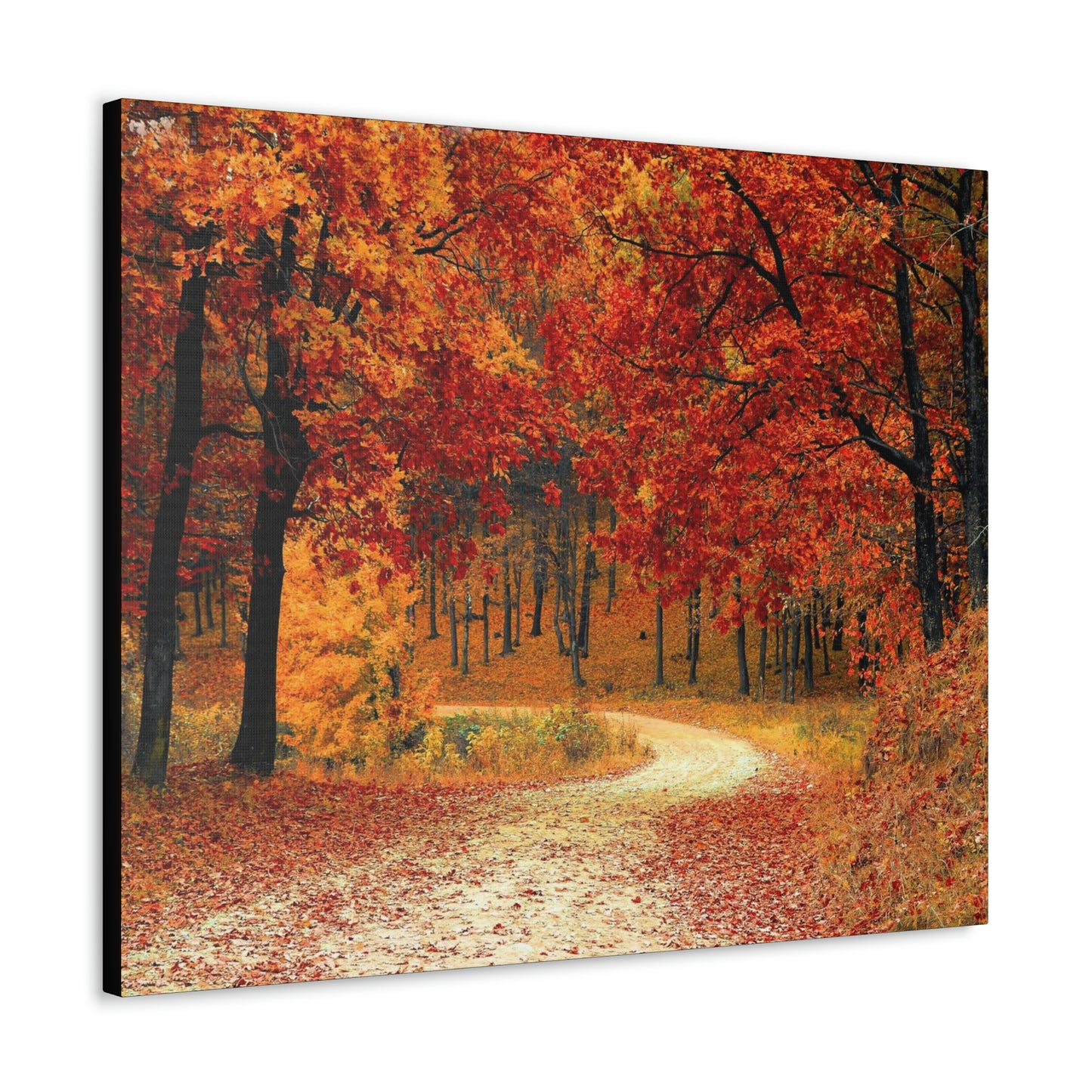 Fall Trail - Foliage forest - Canvas Gallery Wraps