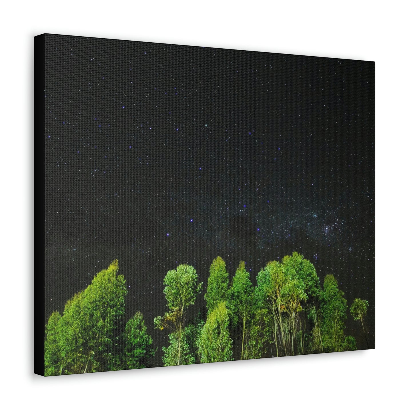 Starry Forest - Star, Forest, Nature - Canvas Gallery Wraps