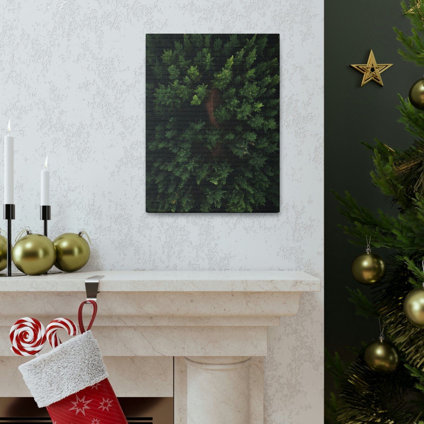 Forest eagle-view - Canvas Gallery Wraps