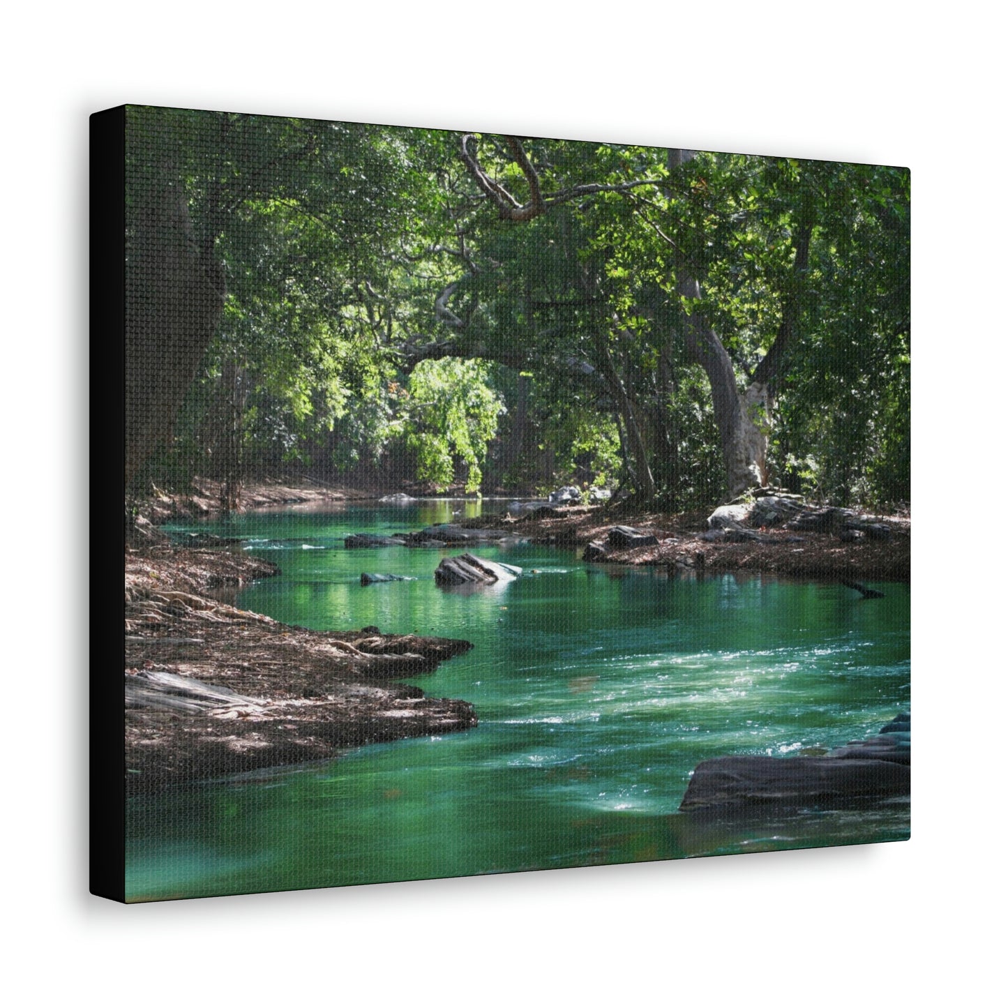 Scenic River - Forest - Canvas Gallery Wraps