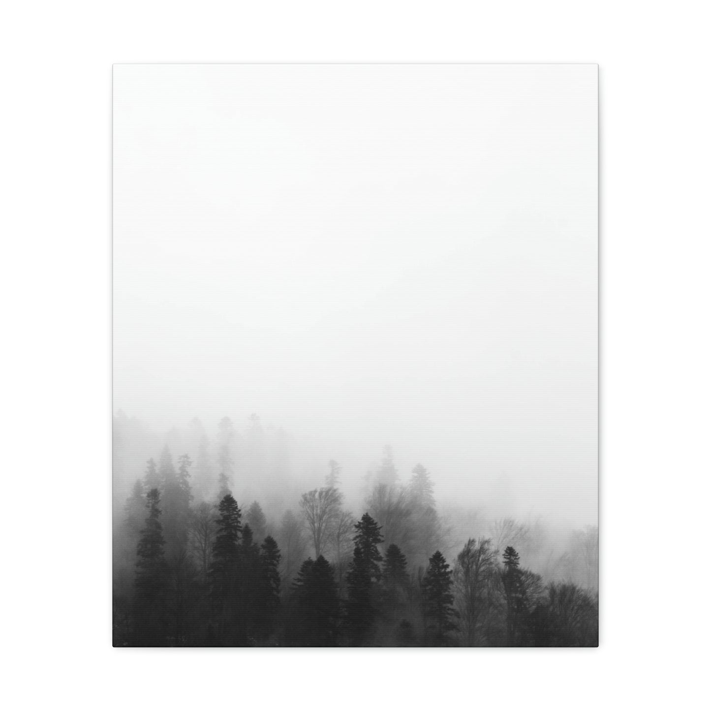 B&W Forest - Canvas Gallery Wraps