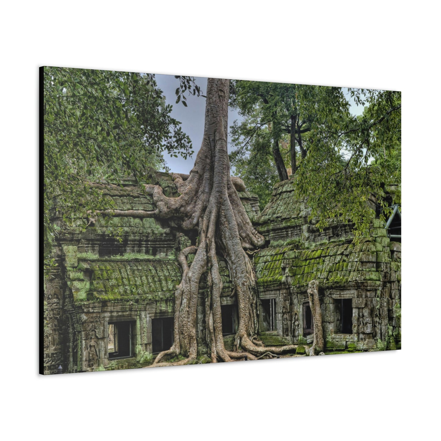 Jungle Temple - nature, trees Canvas Gallery Wraps