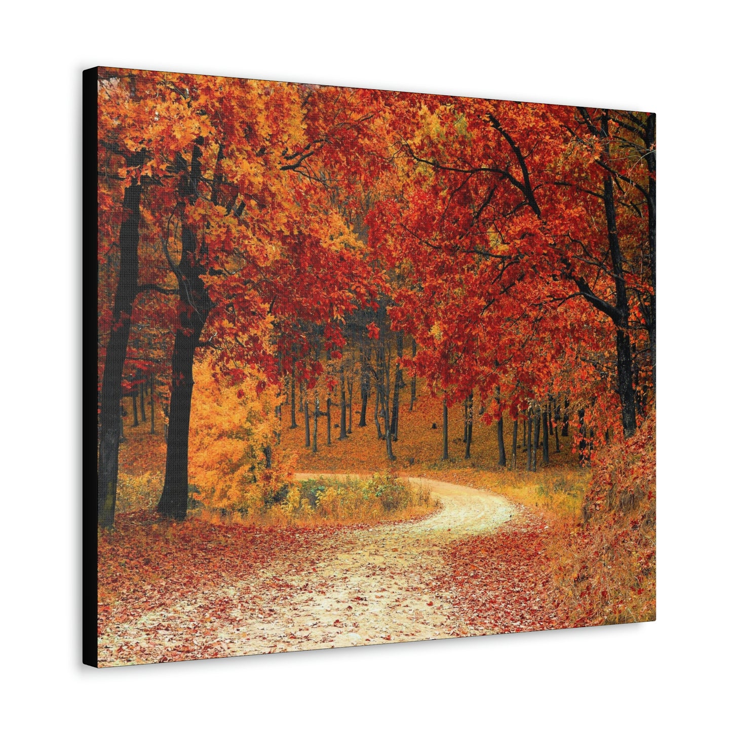 Fall Trail - Foliage forest - Canvas Gallery Wraps