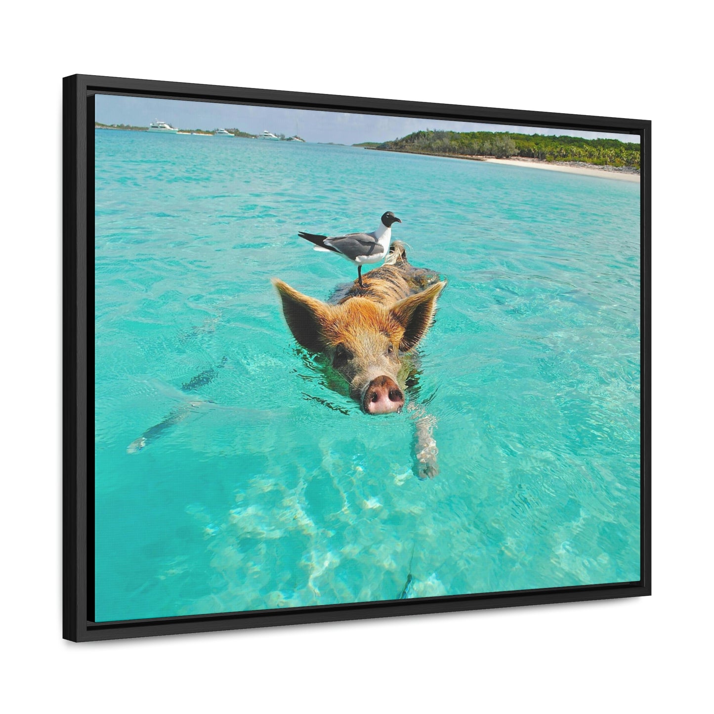 Ocean hog - Gallery Canvas Wraps, Horizontal Frame