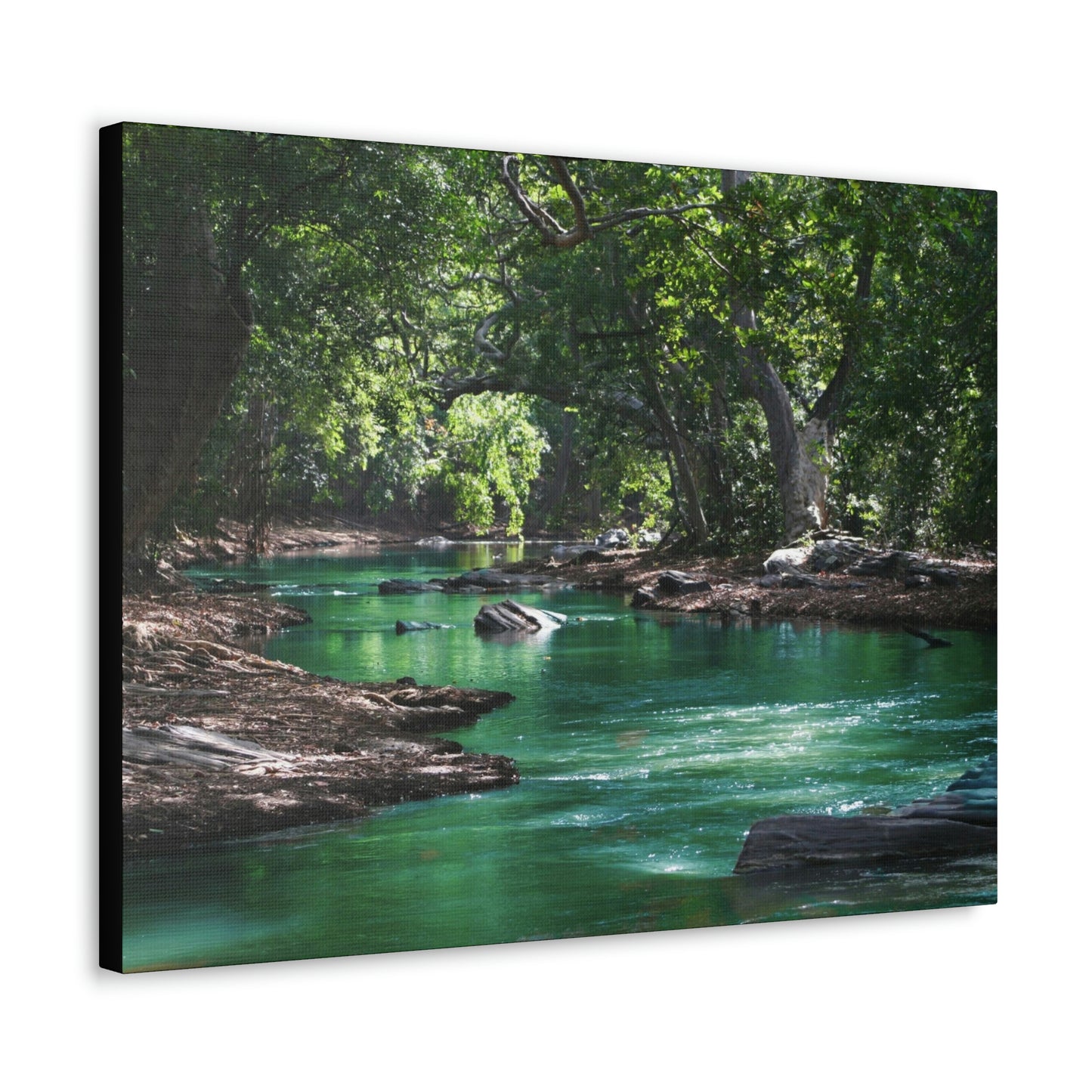 Scenic River - Forest - Canvas Gallery Wraps