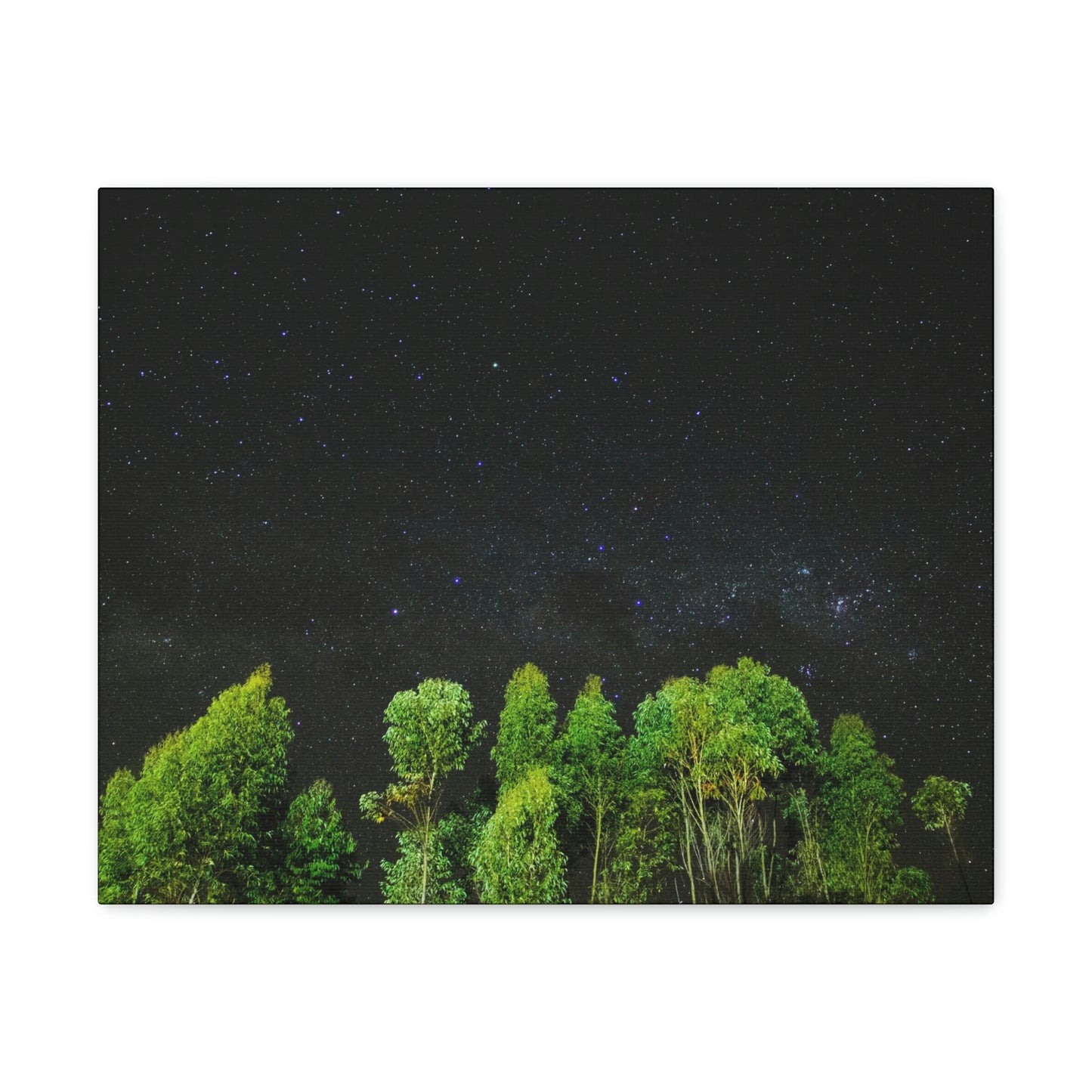 Starry Forest - Star, Forest, Nature - Canvas Gallery Wraps