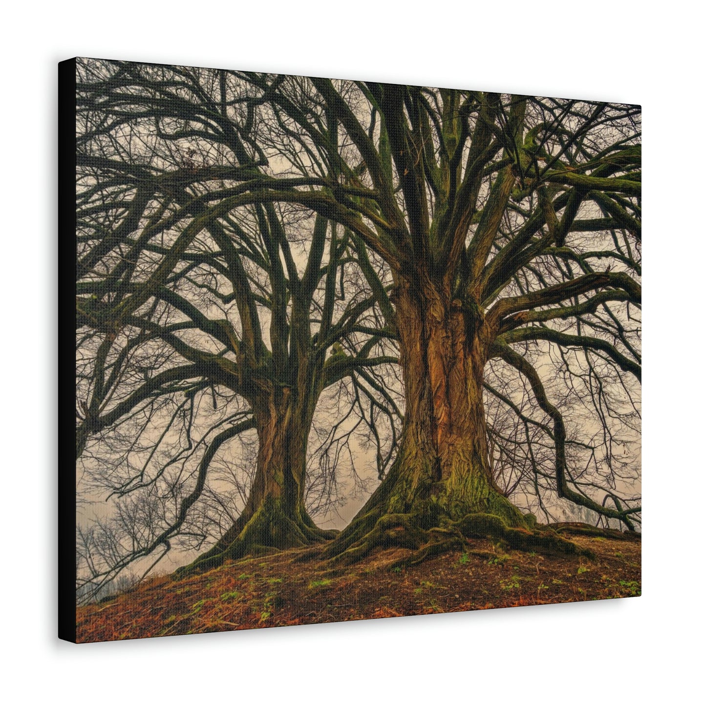 Dark Trees - Nature, Trees, Dark Canvas Gallery Wraps