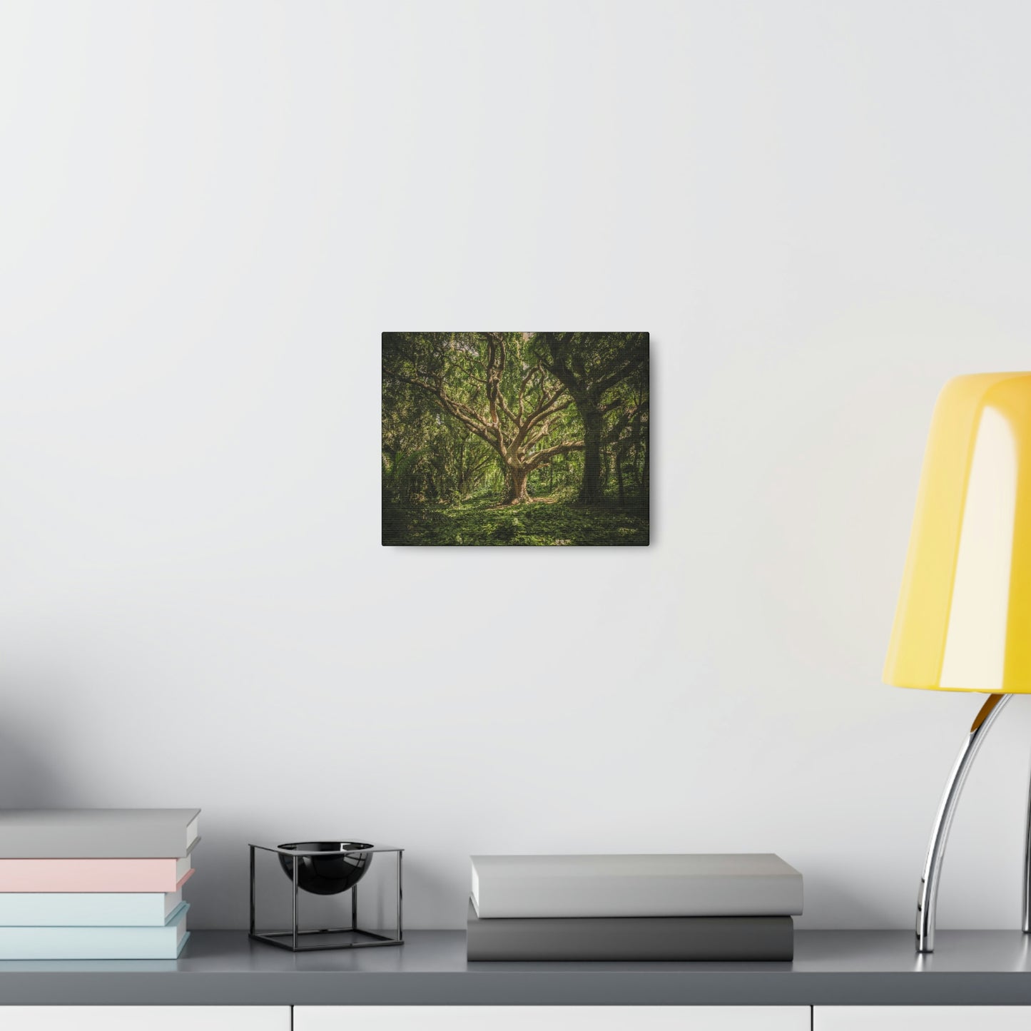 Forest - Tree Canvas Gallery Wraps