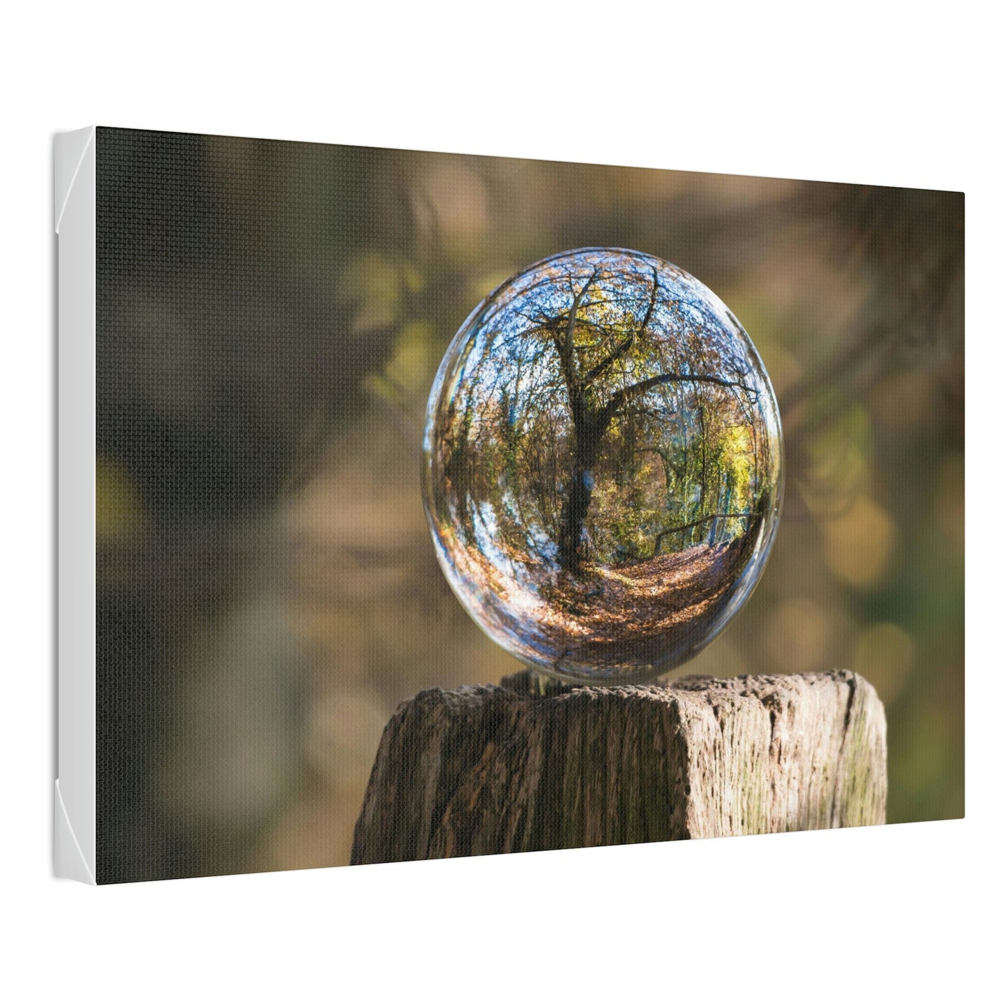 Forest, Globe, Trees, Nature, Forest Globe - Polyester Canvas