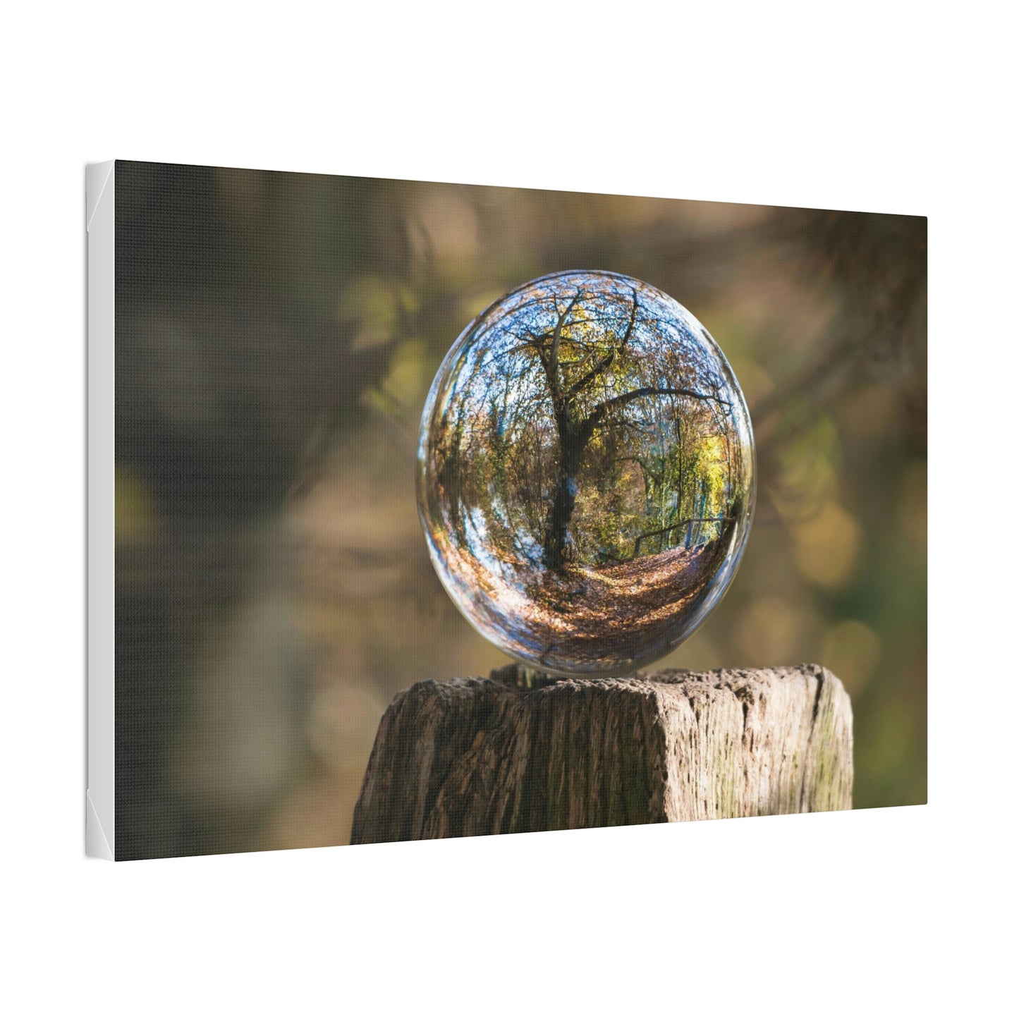 Forest, Globe, Trees, Nature, Forest Globe - Polyester Canvas