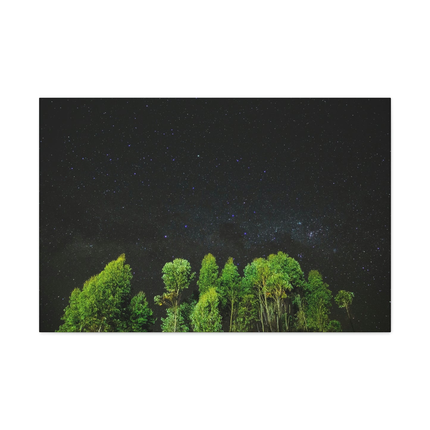 Starry Forest - Star, Forest, Nature - Canvas Gallery Wraps