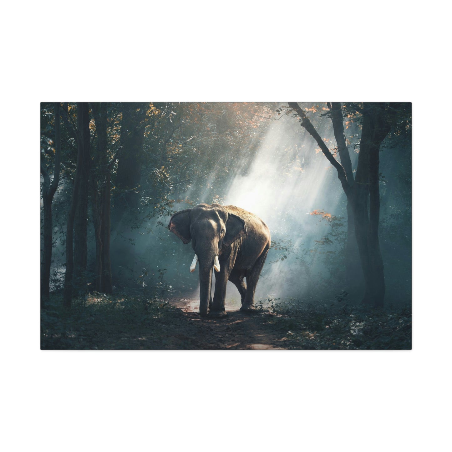 Elephant - Nature, Jungle Canvas Gallery Wraps