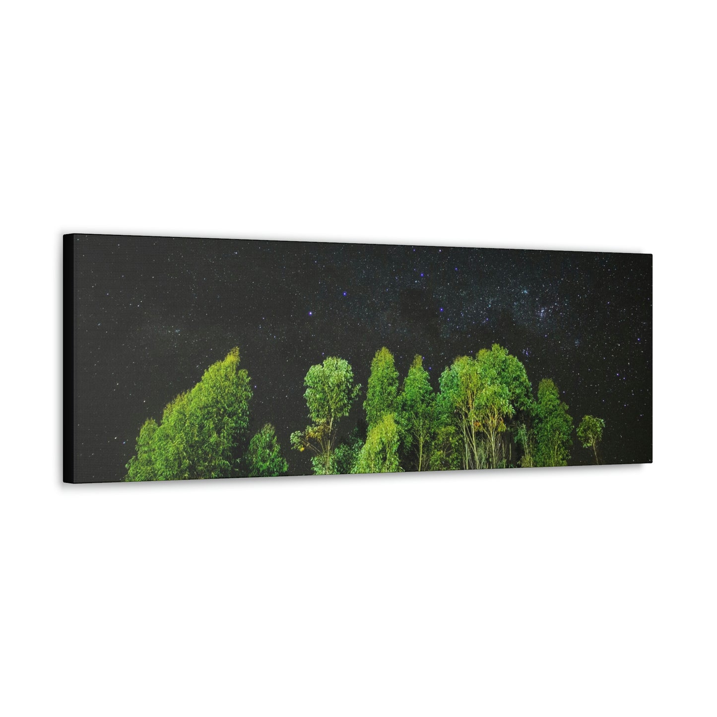 Starry Forest - Star, Forest, Nature - Canvas Gallery Wraps