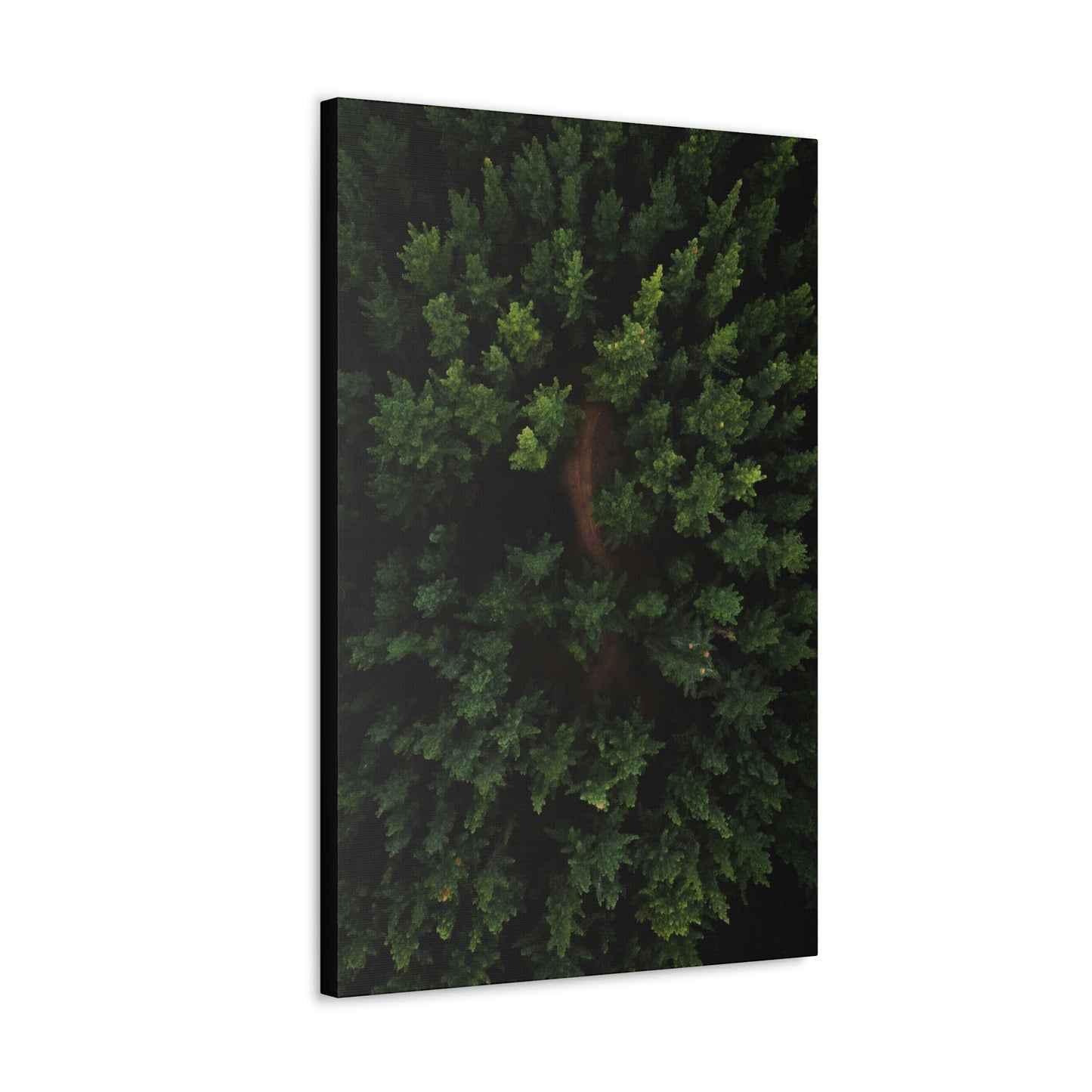 Forest eagle-view - Canvas Gallery Wraps