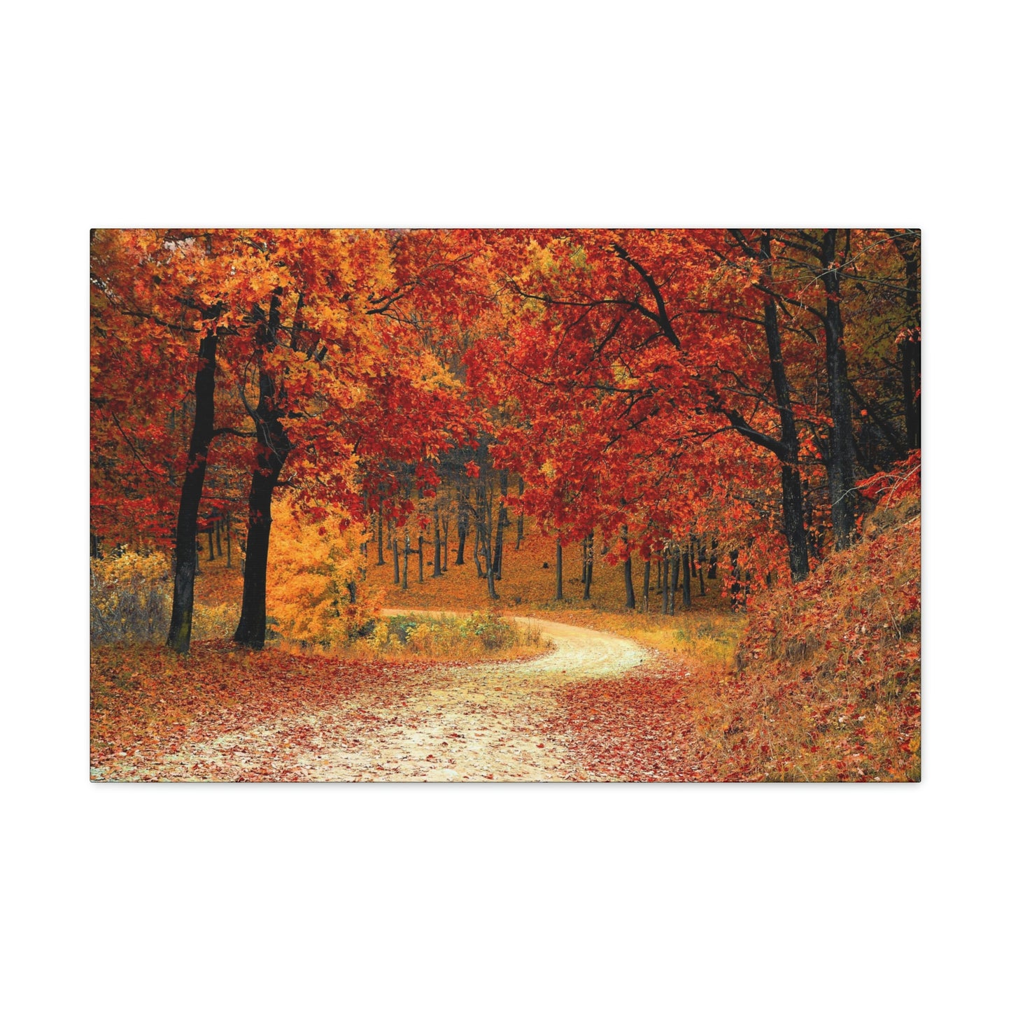Fall Trail - Foliage forest - Canvas Gallery Wraps