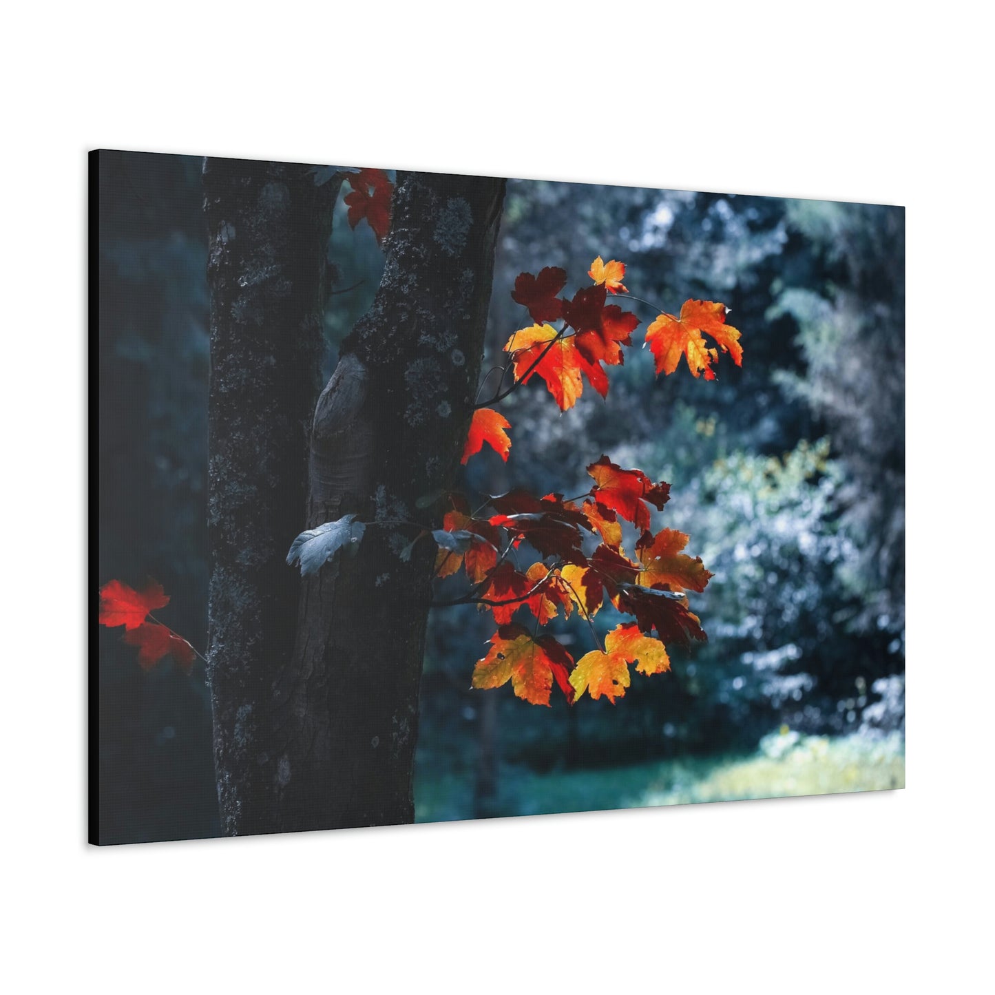 The last Leaves, Fall, Foliage, Nature, Forest - Canvas Gallery Wraps