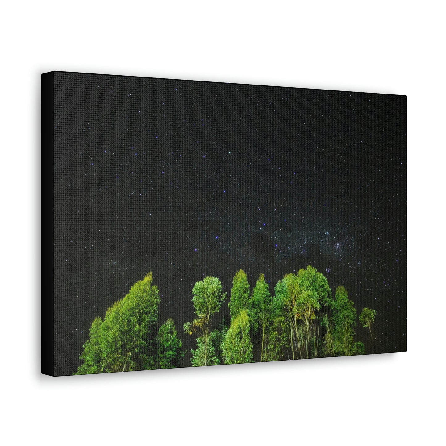 Starry Forest - Star, Forest, Nature - Canvas Gallery Wraps