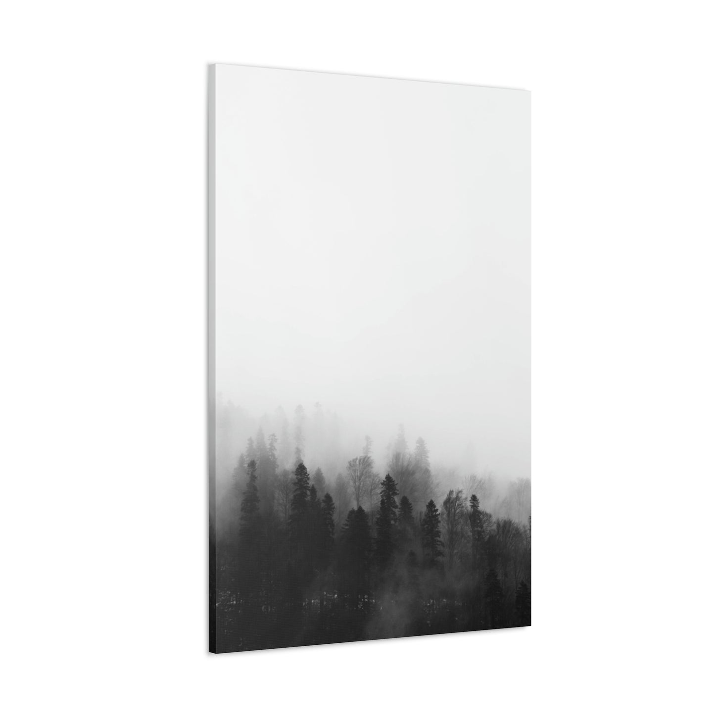 B&W Forest - Canvas Gallery Wraps