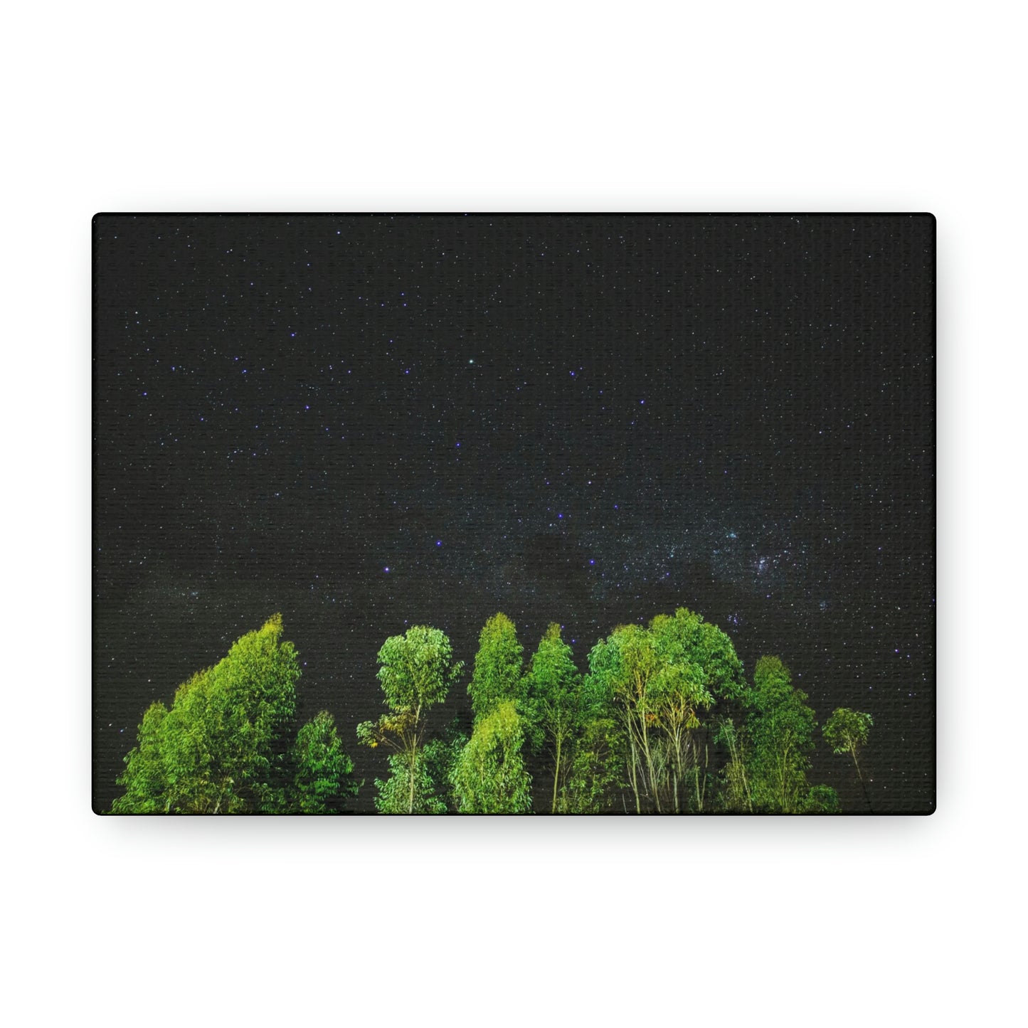 Starry Forest - Star, Forest, Nature - Canvas Gallery Wraps