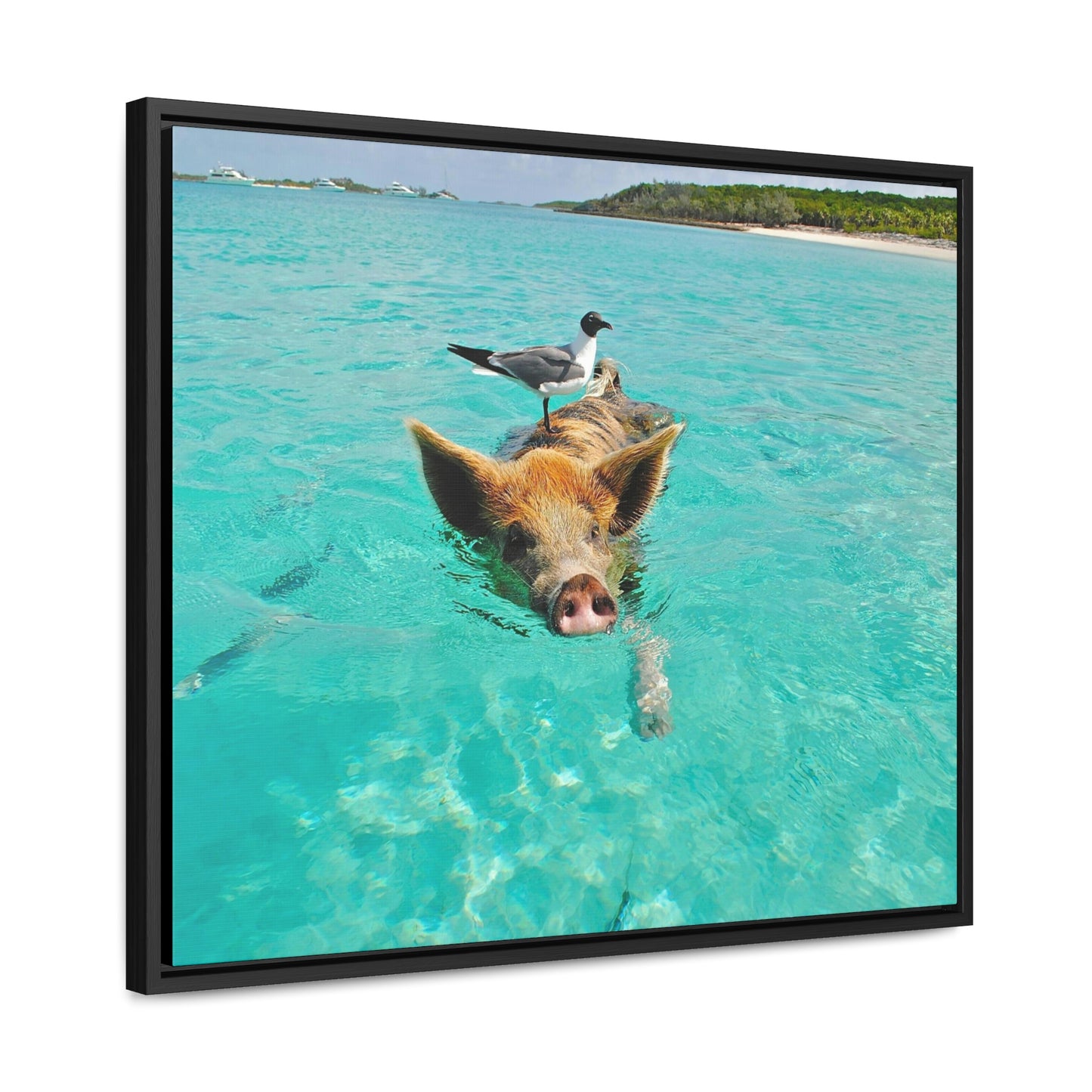 Ocean hog - Gallery Canvas Wraps, Horizontal Frame