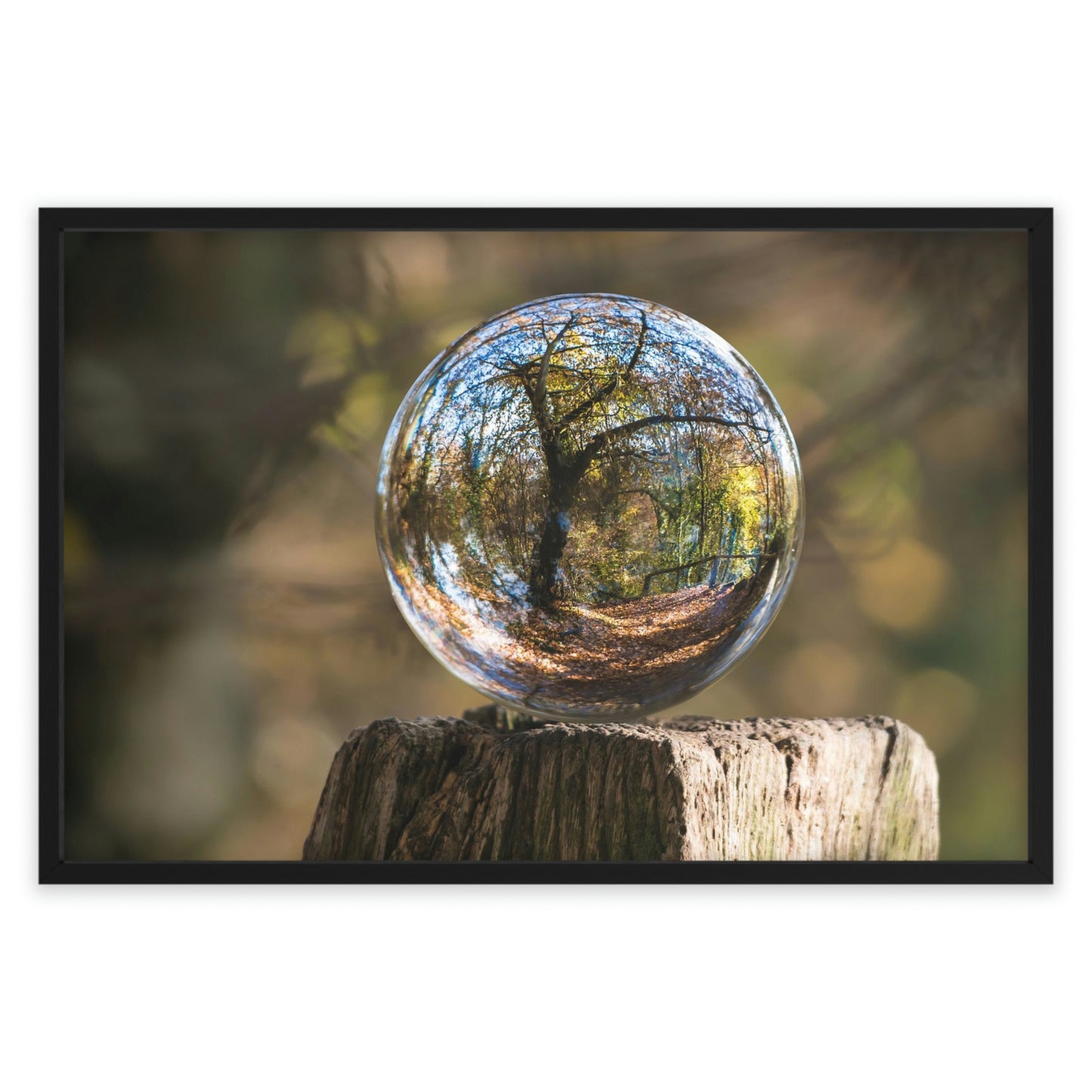 Forest Globe - Framed Poster, Horizontal