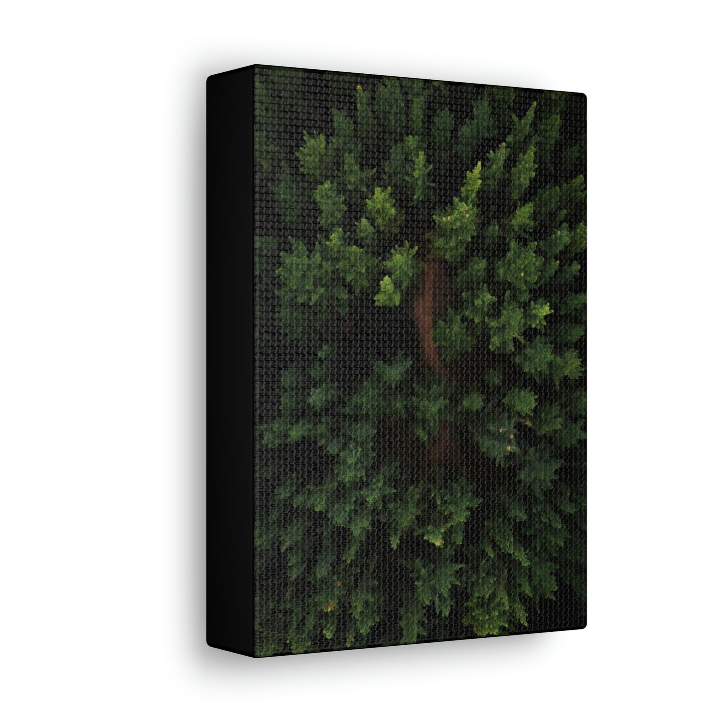 Forest eagle-view - Canvas Gallery Wraps