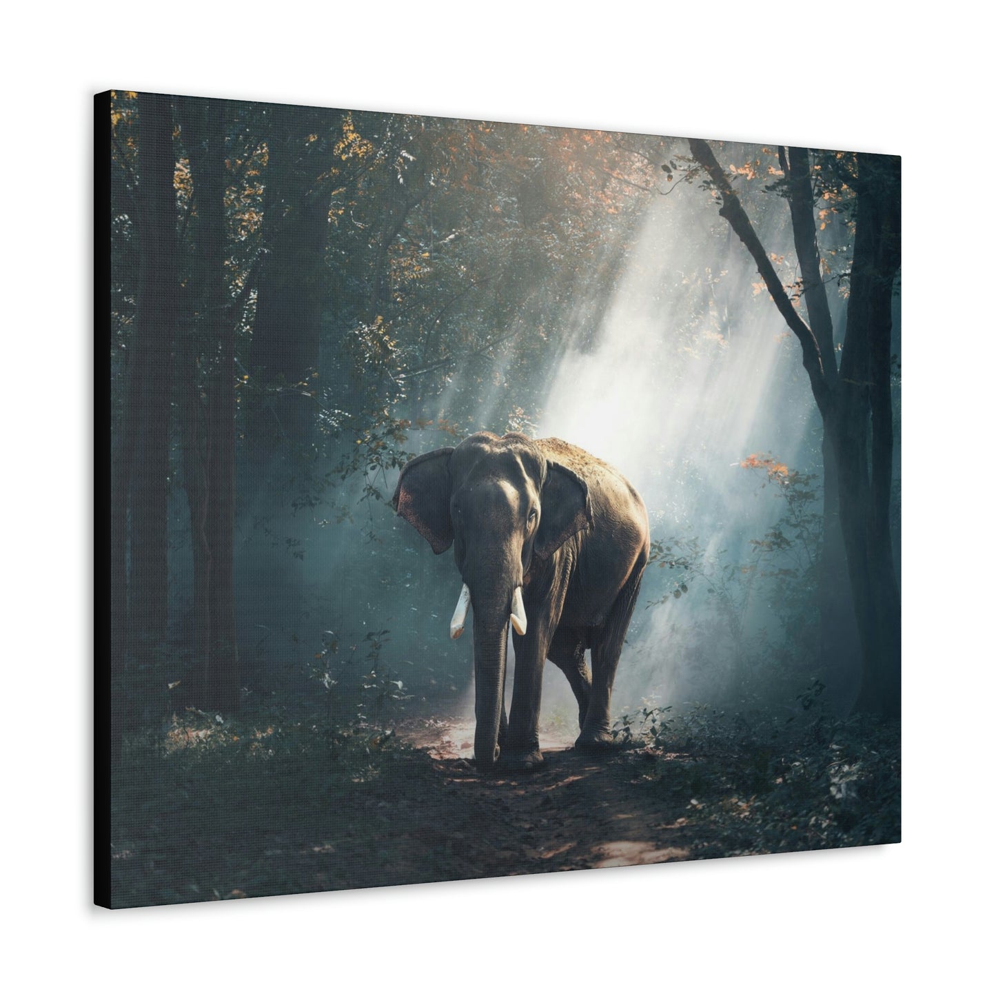Elephant - Nature, Jungle Canvas Gallery Wraps