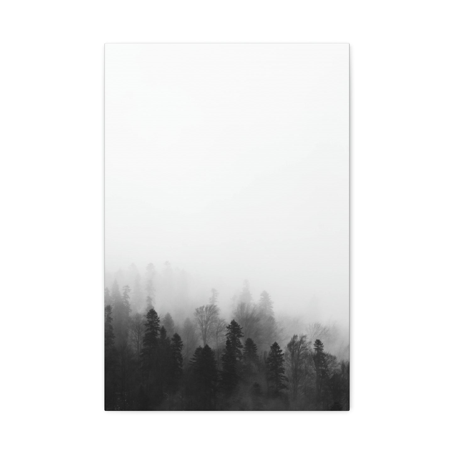 Forest, Black & White, Tree line, Nature, Fog, B and W Tree line Polyester Canvas