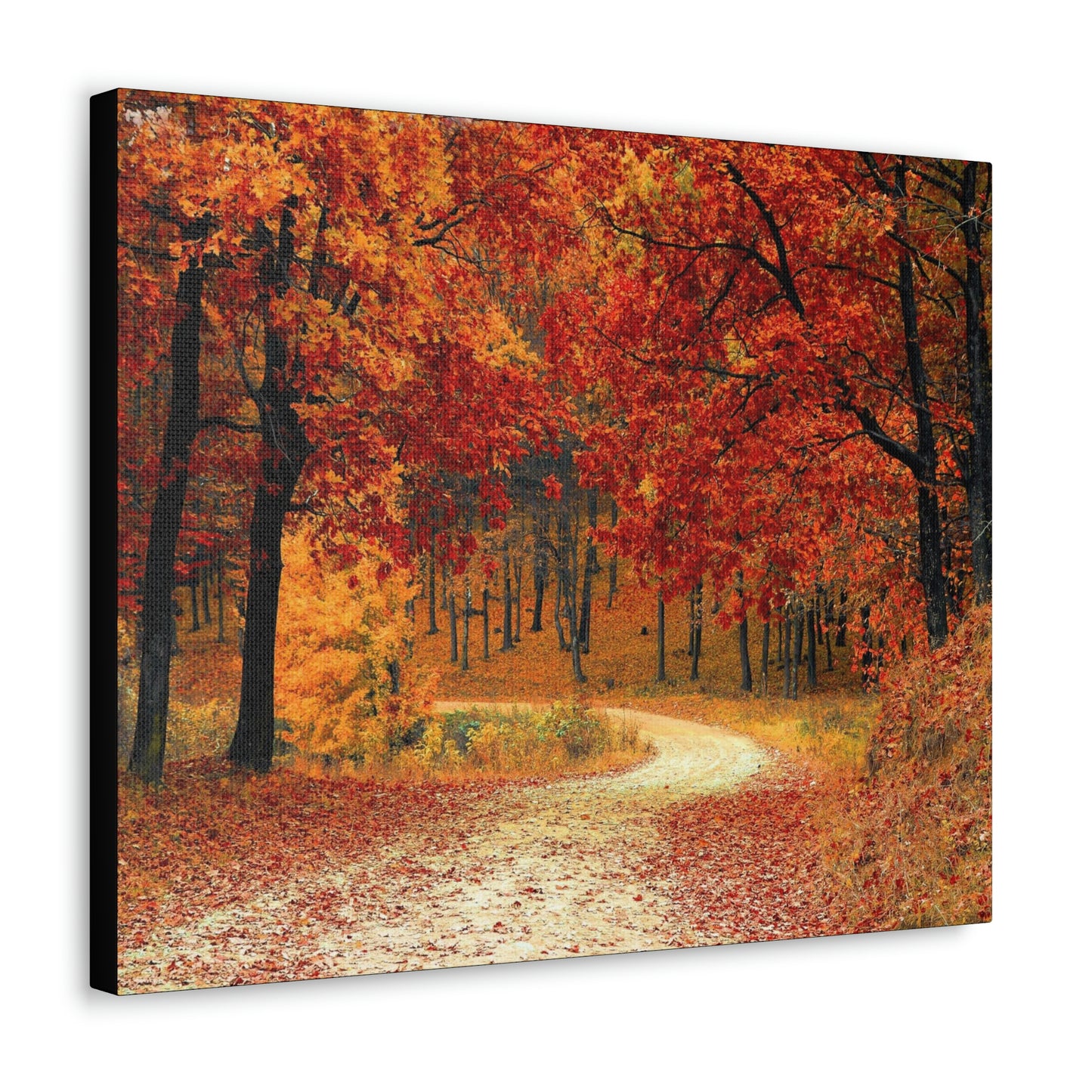 Fall Trail - Foliage forest - Canvas Gallery Wraps