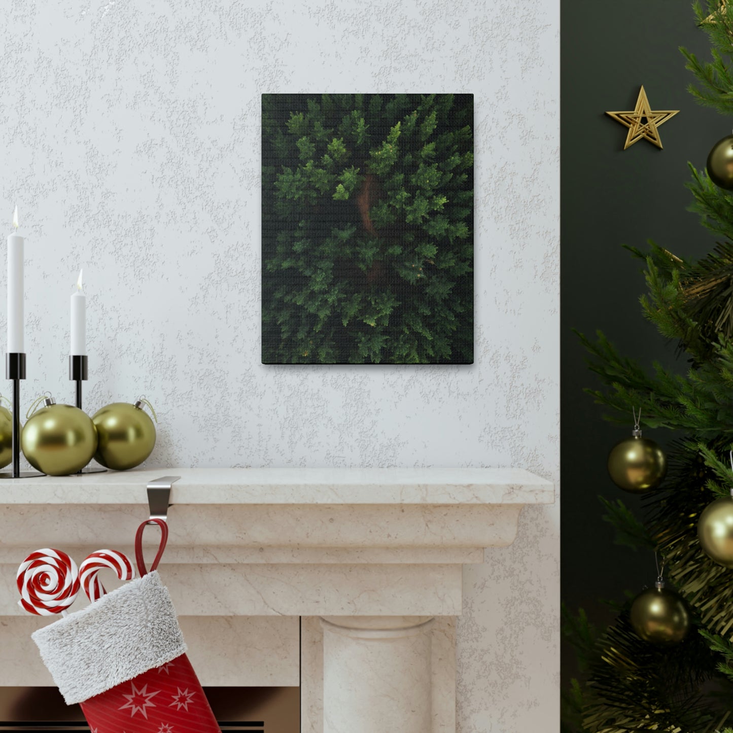 Forest eagle-view - Canvas Gallery Wraps
