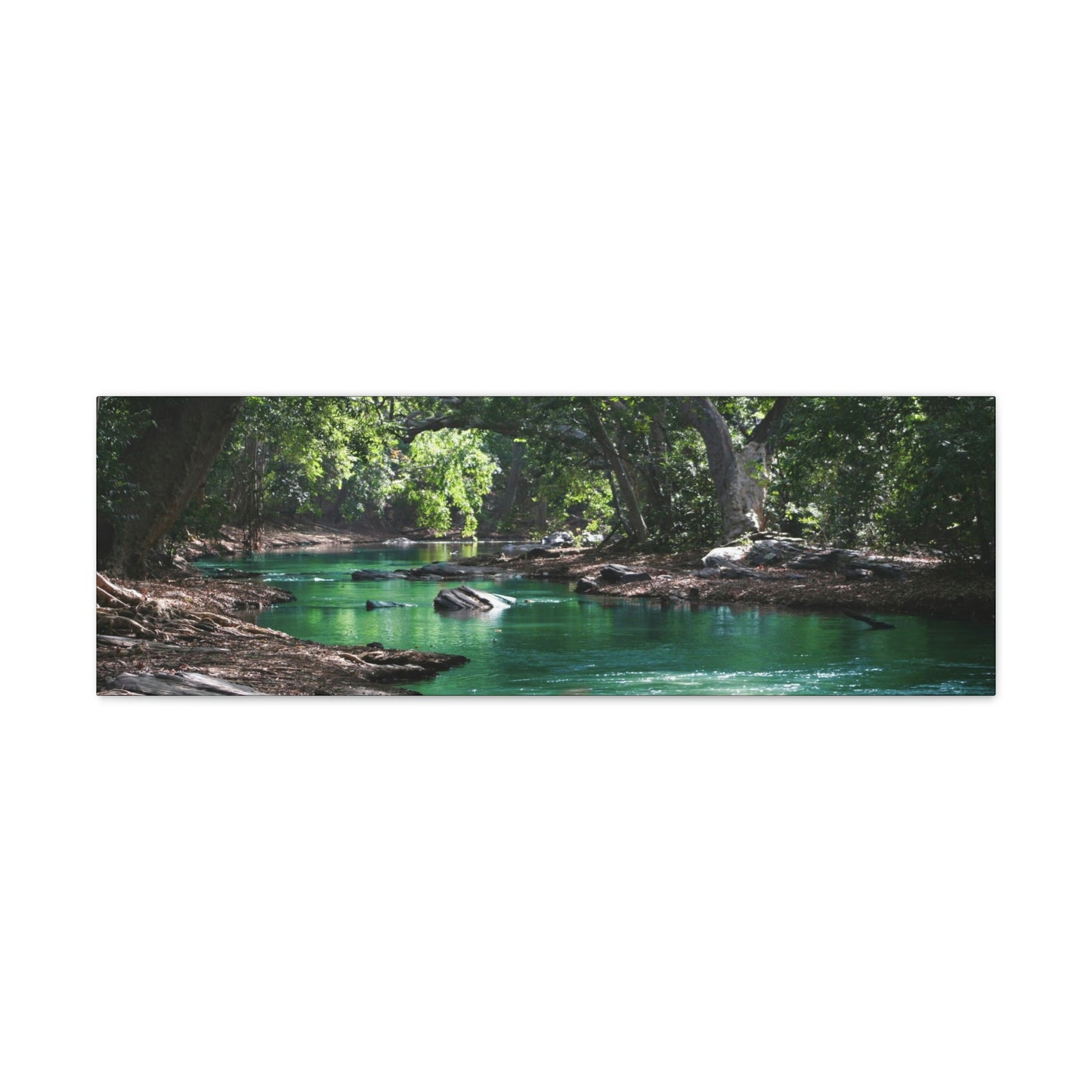 Scenic River - Forest - Canvas Gallery Wraps
