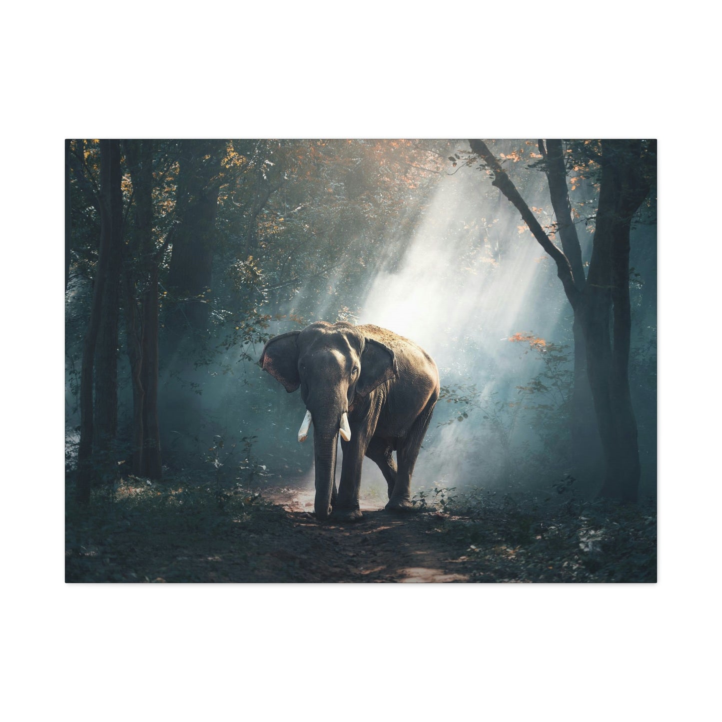 Elephant - Nature, Jungle Canvas Gallery Wraps