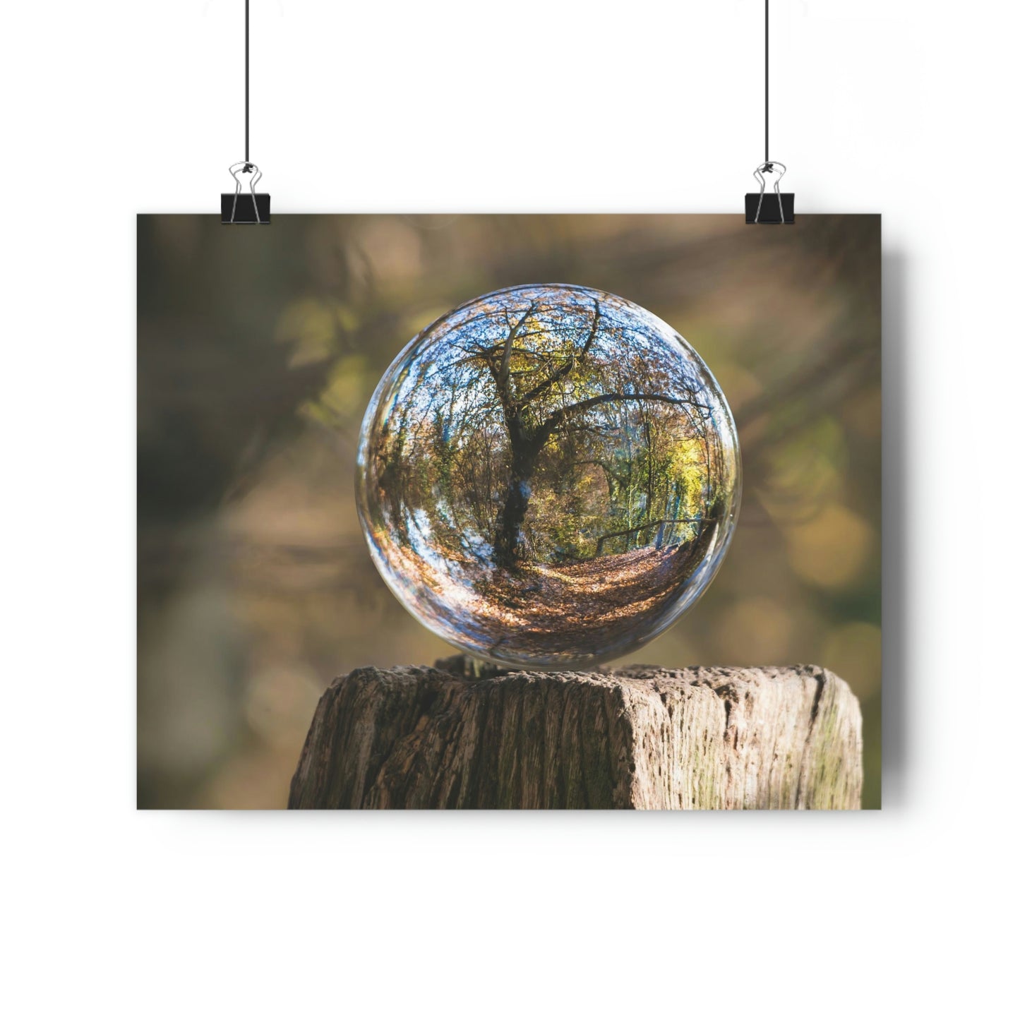 Forest, Globe, Nature, Forest Globe - Premium Poster