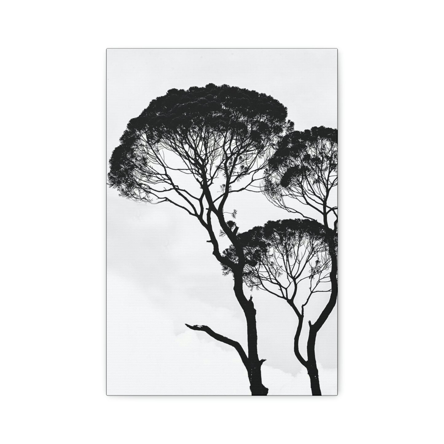 Black and White Trees, Trees, Savannah, Safari - Polyester Canvas